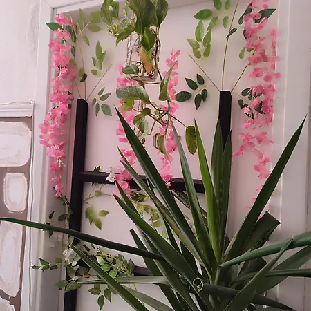 ονειροπαγίδα